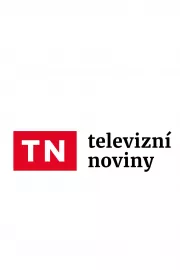 Televizní noviny