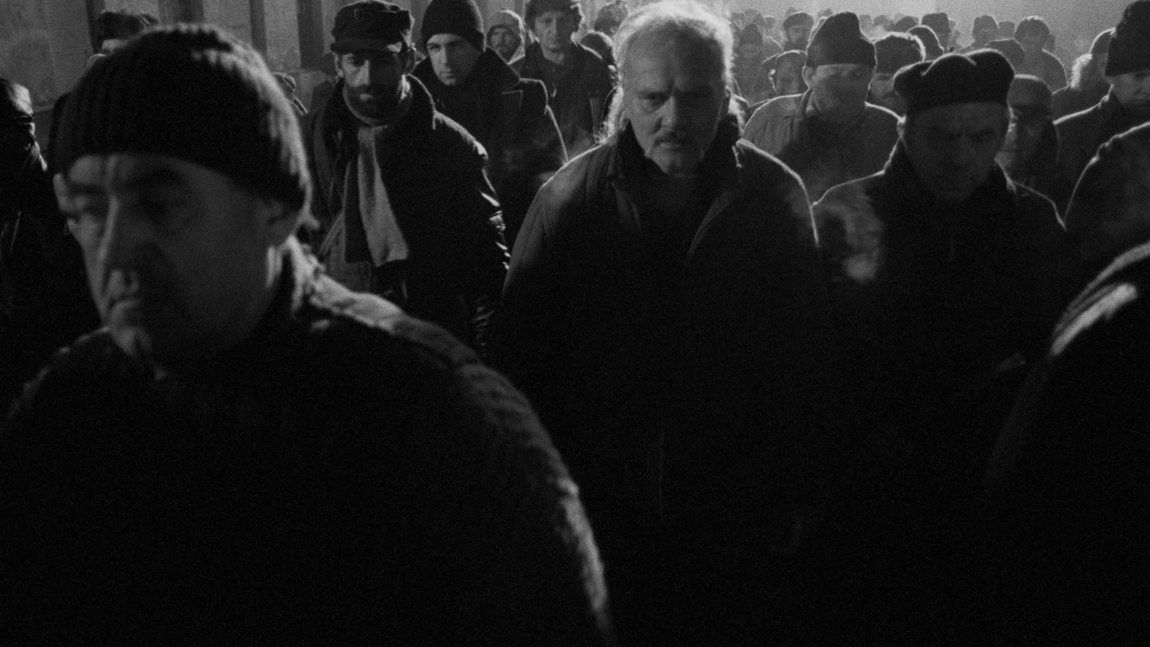 Werckmeisterovy harmonie