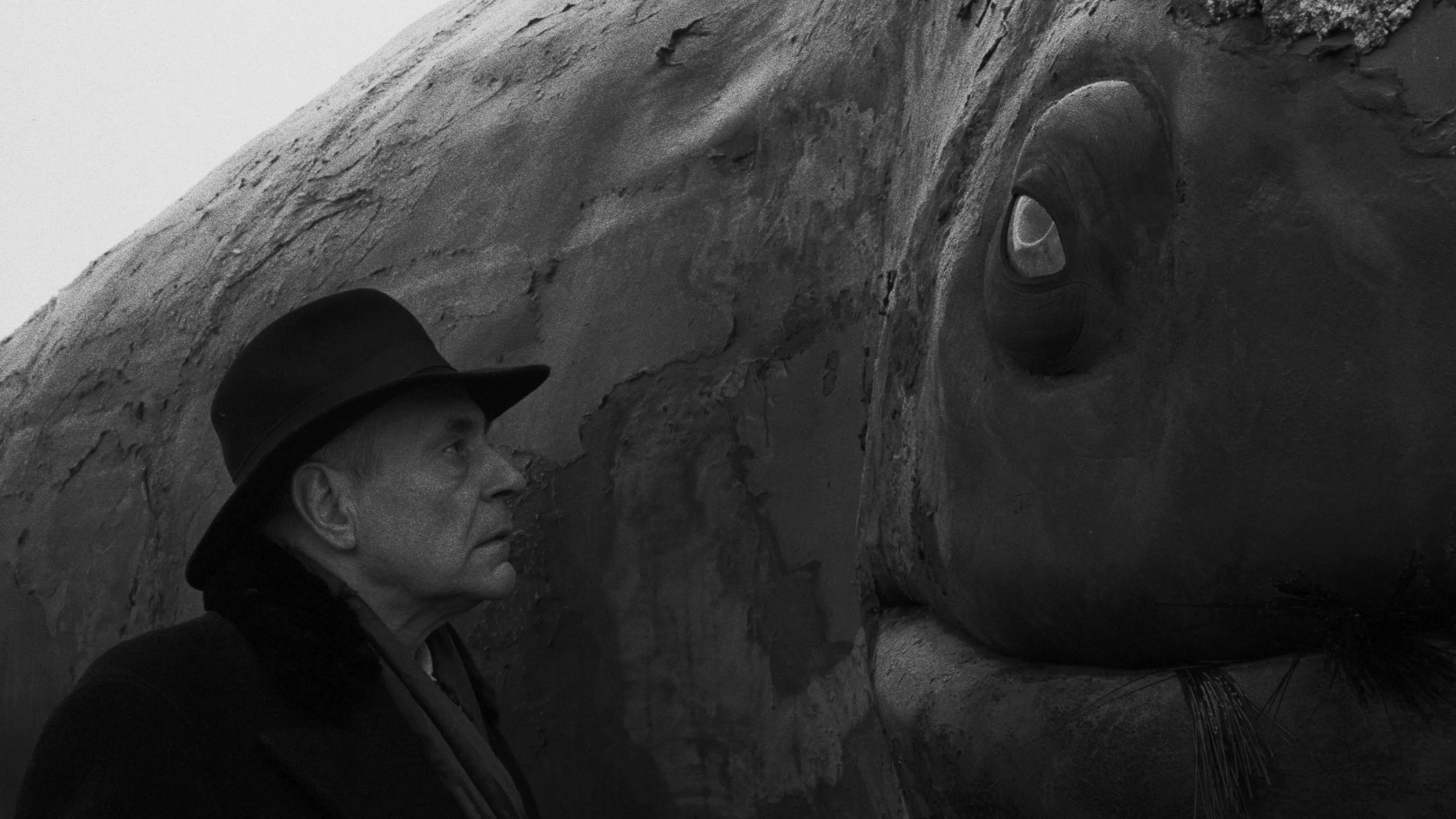 Werckmeisterovy harmonie