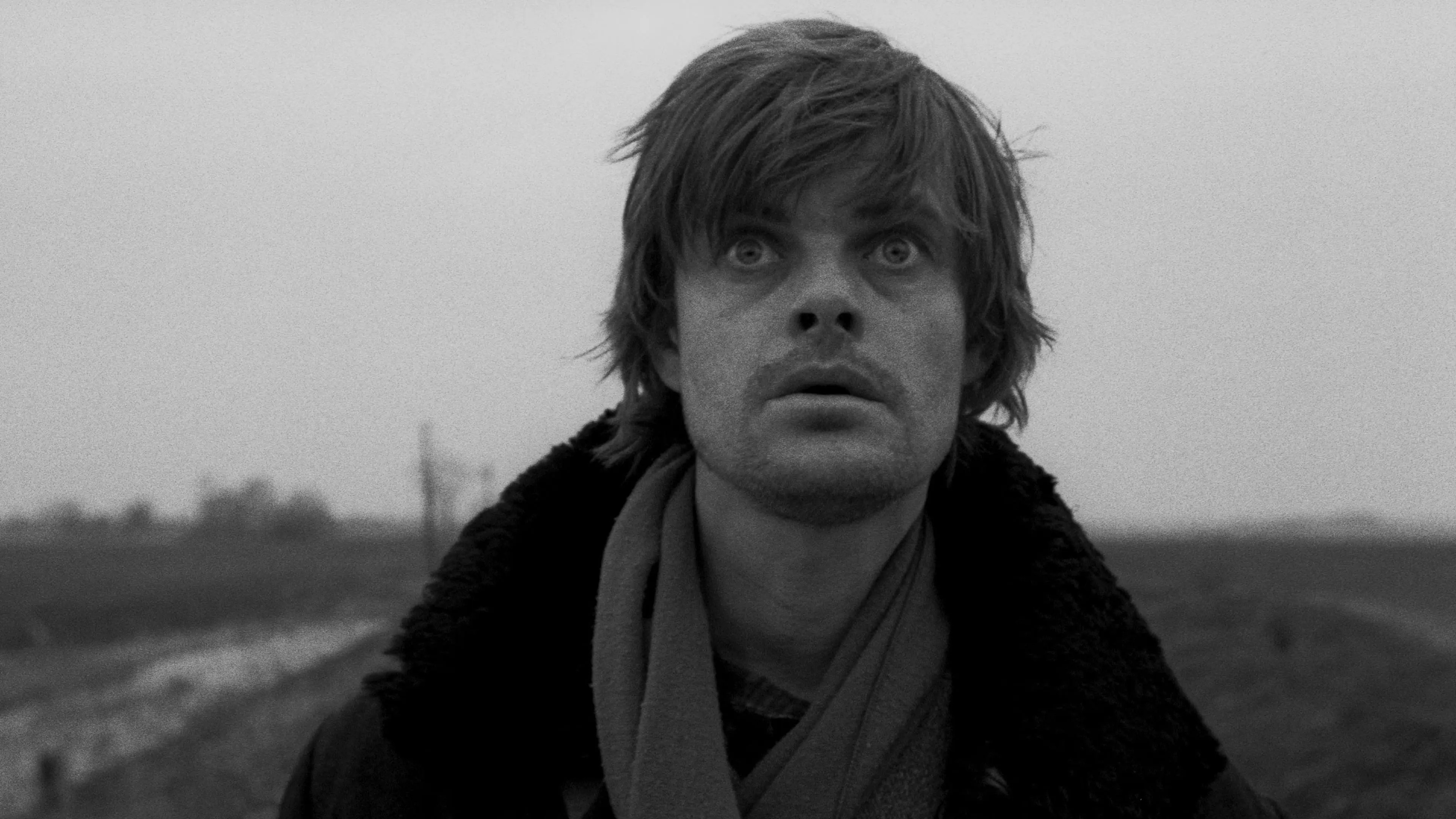 Werckmeisterovy harmonie