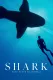 Shark with Steve Backshall