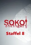 8. sezóna