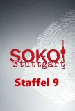 9. sezóna