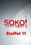 11. sezóna