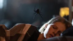 Netrpíte arachnofobií? Po zhlédnutí děsivého traileru na horor Sting začnete