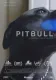Pitbul