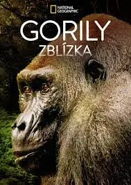 Gorily zblízka