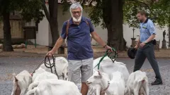 Památné role Jiřího Bartošky