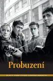 Probuzení