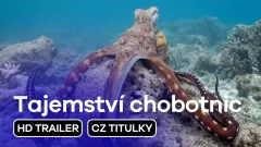 Tajemství chobotnic: trailer