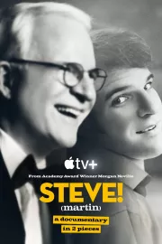 STEVE! (martin) dokument o 2 částech