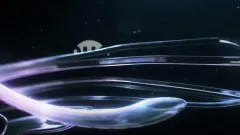 Ve jménu vlasti: trailer