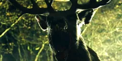 V nejzvrácenější filmové sérii vraždí i koloušek Bambi. Trailer na bizarní horor zaručeně pobaví