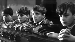 Vracenky: upoutávka