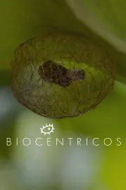Biocentricos