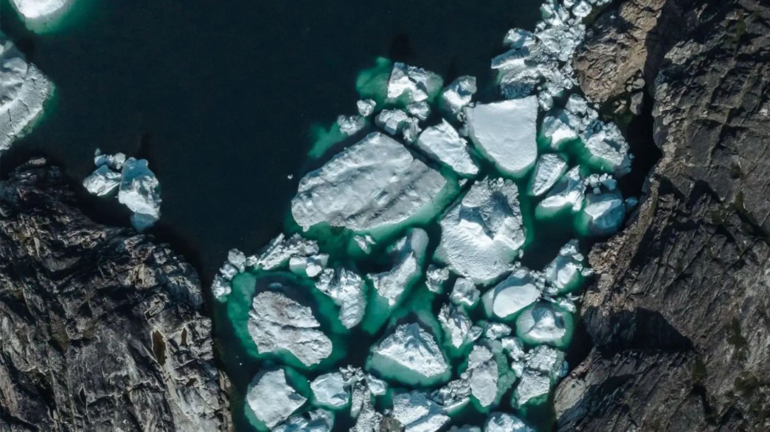 Hon na nejstarší DNA