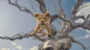 Lví král dělá první krůčky v traileru s mladým Mufasou. Vrátí se Timon, Pumbaa i zlý Scar