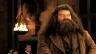 Harry Potter zřejmě našel nového Hagrida. Toto obsazení udělá fanouškům radost