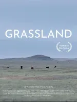 Grassland