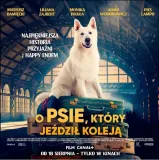 O psovi, který jezdil na kole