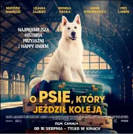 O psovi, který jezdil na kole