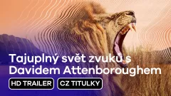 Tajuplný svět zvuků s Davidem Attenboroughem: trailer