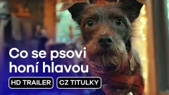 Co se psovi honí hlavou: trailer