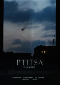 Ptitsa