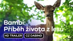 Bambi: Příběh života z lesů: trailer
