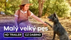 Malý velký pes: trailer