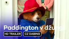 Paddington v džungli: finální trailer