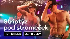 Striptýz pod stromeček: trailer