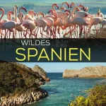 Krásy divokého Španělska