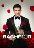 Bachelor Česko