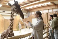 Nejdražší propadák Primy byl definitivně zrušen. ZOO Nové začátky končí dříve, než se čekalo