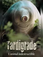 Tardigrade, l'animal indestructible