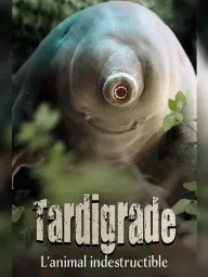 Tardigrade, l'animal indestructible