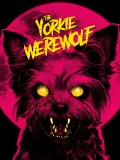 The Yorkie Werewolf