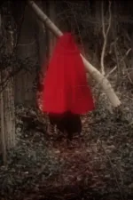 Lesní pohádky bratří Grimmů