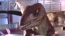 Vědecky přesní dinosauři? Podívejte se, jak by velociraptoři z Jurského parku měli správně vypadat