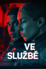 Ve službě