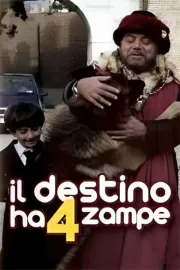 Destino ha 4 zampe, Il