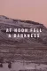 At Noon Fell a Darkness