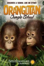 Orangutaní škola v džungli