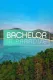Bachelor in Paradise