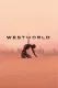 Westworld: The Story So Far