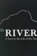 The River: A Year in the Life of the Tay