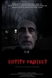 Entity Project