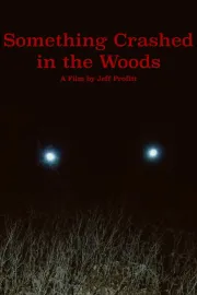 Something Crashed in the Woods