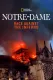 Notre-Dame: Race Against the Inferno